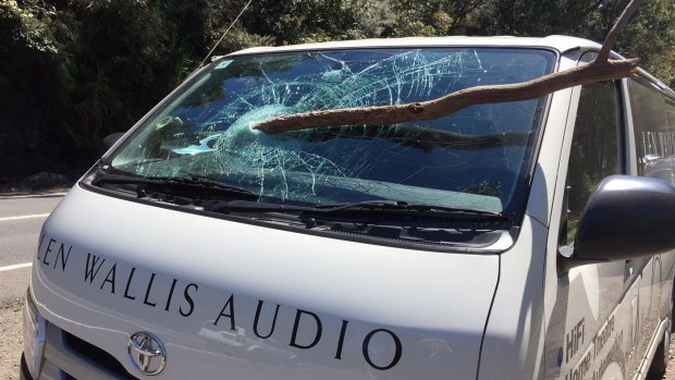 A man has had a lucky escape after a tree branch pierced through his windscreen.