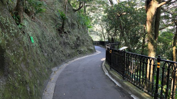 Rather than take the tram, hike up the trail to to the top of Victoria Peak.