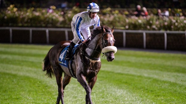 Right distance: Hardham impressed in winning the Alister Clark Stakes at Moonee Valley.