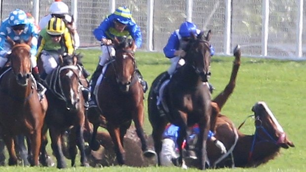 The fall that could have ended the lives of jockey Kathy O'Hara and Single Gaze. Now they'll run in a Caulfield Cup together.