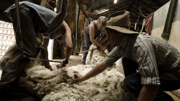 Shearers work on a fleece two decades after the end of the floor price.