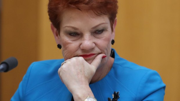 Pauline Hanson is an instinctive politician, the Australia Institute report says..