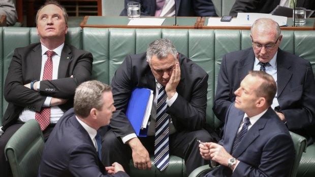 Barnaby Joyce (top left) with other members of the frontbench of former prime minister Tony Abbott (bottom right).