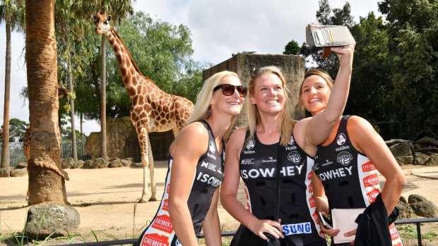 Collingwood's April Brandley, Caitlin Thwaites and Kim Ravaillion at the zoo this week.