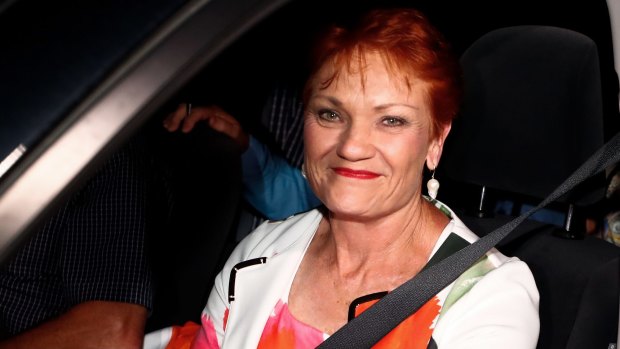 Pauline Hanson is creating a headache for Malcolm Turnbull, threatening to divide the moderates and conservatives in the federal Coalition.