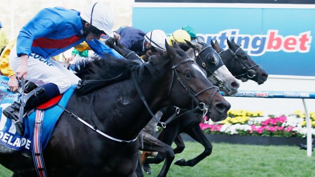 World class: Irish horse Adelaide (left) scores a narrow, but emphatic win in the Cox Plate. 