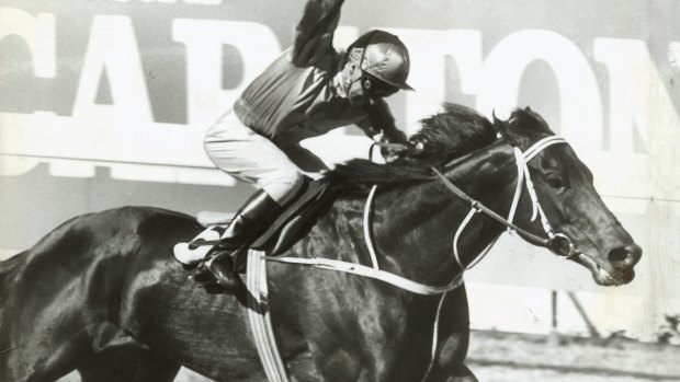 'They won't beat him at this track': Mal Johnston salutes on Kingston Town in the 1980 Cox Plate.