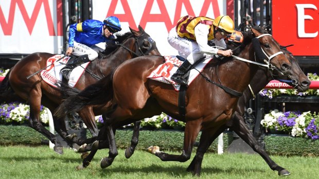 Job to do: Preferment will be hoping to add the Australian Derby to success in the Victorian Derby last year.