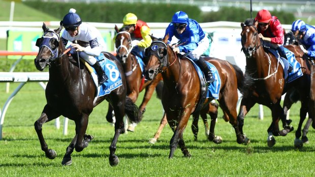 Going for gold: Sires Produce winner Yankee Rose will try to win the Golden Rose first-up.