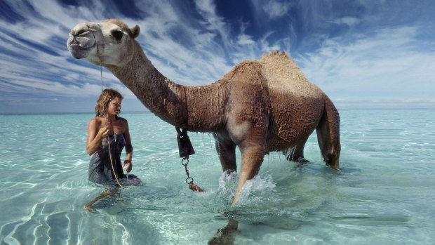 Robyn Davidson and one of her camels reach the Indian Ocean in 1977.