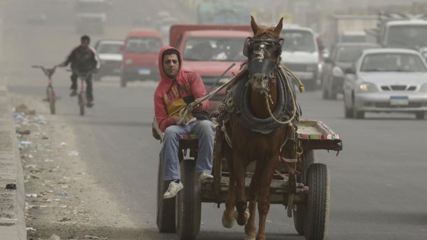 An Egyptian rides his horse cart in Cairo, Egypt, during a sandstorm last week.
