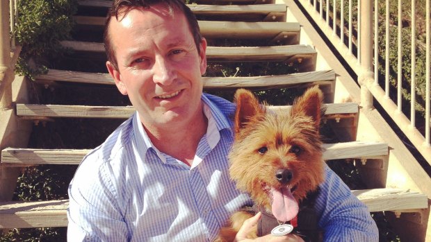 Mark McGowan has vowed to put an end to WA puppy farms if elected in 2017. 