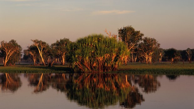 Wetlands in Kakadu National Park.