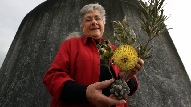 Artist Celia Rosser with a cutting of <i>Banksia rosserae</i>,  which was named after her.