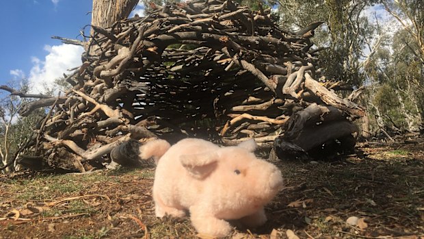 A toy pig guards the Ainslie stick house. 