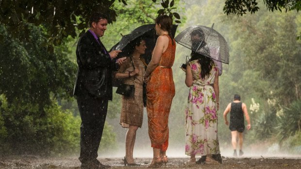 Visitors to the Tan walking track open their brollies and shelter under trees as the rain hits.