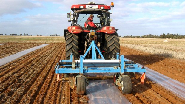 The product is being adapted to Australian conditions and farming practices in a series of field trials run across four states.