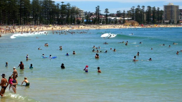 TripAdvisor has named Manly Beach, NSW, as Australia's best beach.