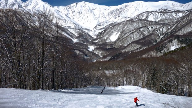 Nagano hunkers at the base of the Japanese Alps at the centre of abundant ski fields such as Hakuba (pictured).