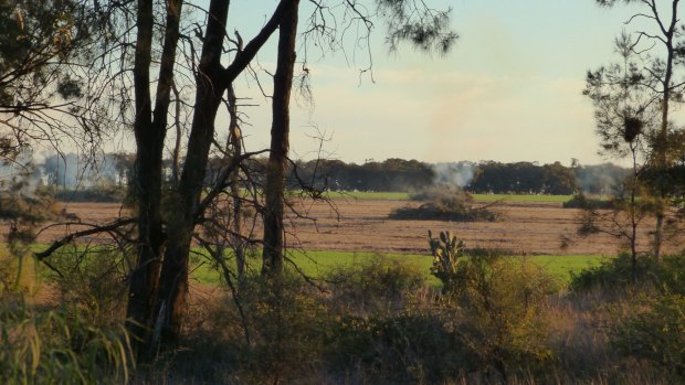 The NSW government's bid to ease land-clearing laws are under fire even from the farmers' lobby group.
