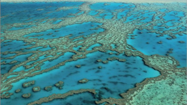 Researchers have called on the government to commit to reducing pollution in order to protect the reef.