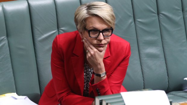Tanya Plibersek's stance on a binding vote for Labor MPs on same-sex marriage did her untold damage.