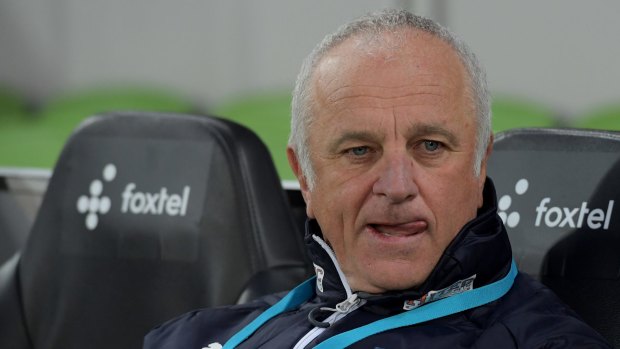 Next in line?: Bert Van Marwijk is the right man to lead the Socceroos to the World Cup, says Graham Arnold, but the Sydney FC  coach may be the next long-term leader.