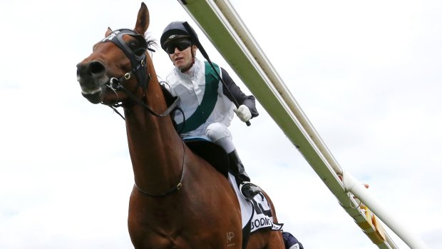 Overseas offer: Boom Time has received an invitation to the Japan Cup.