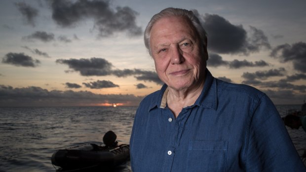 David Attenborough at the Great Barrier Reef.