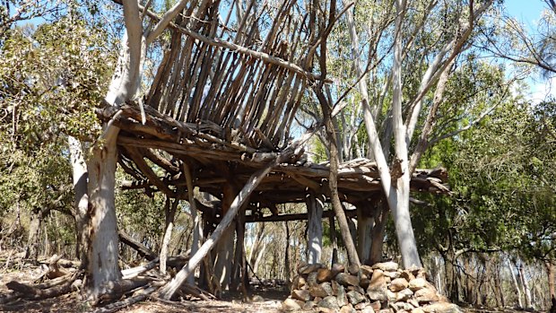 Mt Majura Treehouse prior to demolition in 2012. 