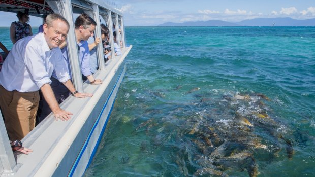 Labor leader Bill Shorten on a visit to Green Island, off Cairns.