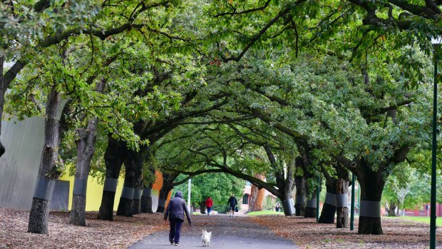 Access to green space makes Melbourne a drawcard. 
