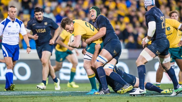 Wallabies back-rower Jack Dempsey will take on the Springboks.