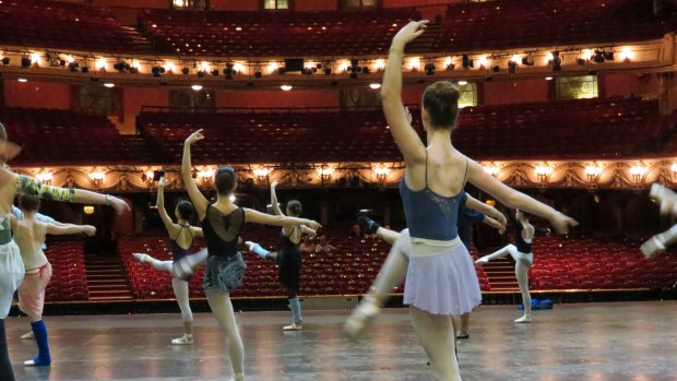 Queensland Ballet could have a new home if another theatre is built in Brisbane.