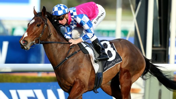 Canberra trainer Matthew Dale says the Oakleigh Plate first-up is still on Fell Swoop's agenda.