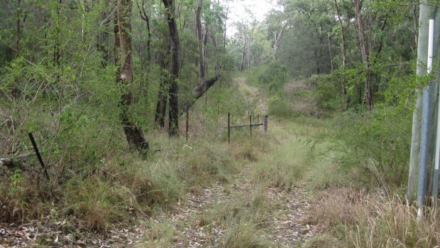 Near the new UTS body farm site at Yarramundi.