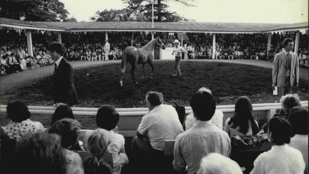 The Newmarket ring of William Inglis & Son in Sydney's east in 1978.