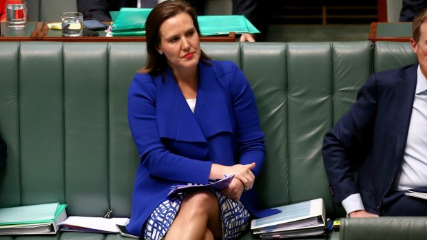 Assistant Treasurer Kelly O'Dwyer is the member for Higgins and under pressure from the Greens.