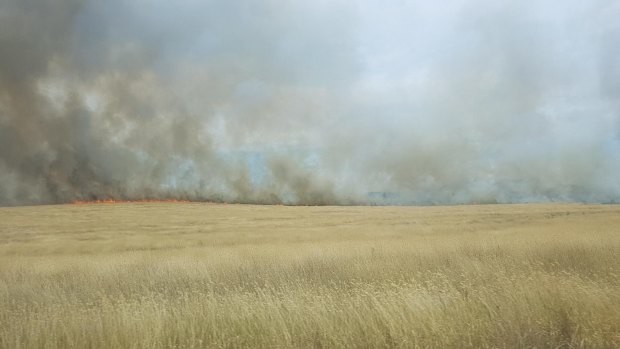 A grass fire broke out north of Ballarat on Saturday afternoon. 
