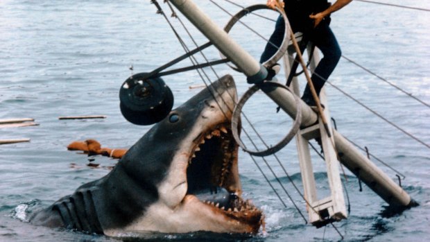 Scene from Jaws (1975),  directed by Steven Spielberg.