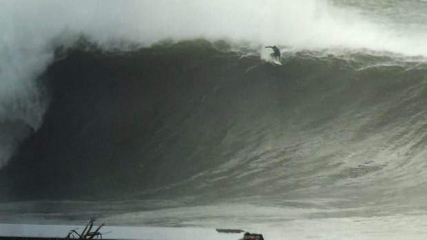 A surfer at Coogee bombora on Monday.