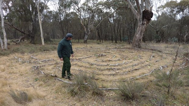 Ranger Luke McElhinney walking the Mt Ainslie bush labyrinth. 