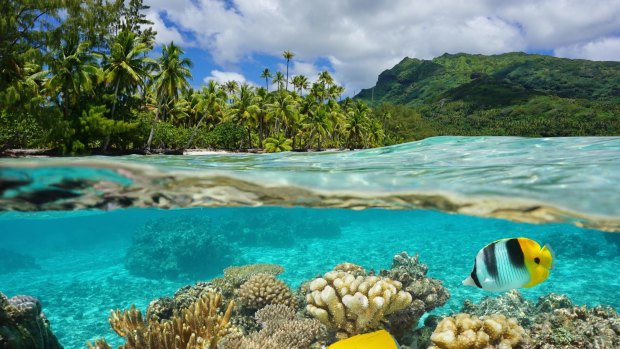 Bora Bora and Moorea might be more famous, but French Polynesian island Huahine is flamboyantly beautiful and yet scarcely visited.
