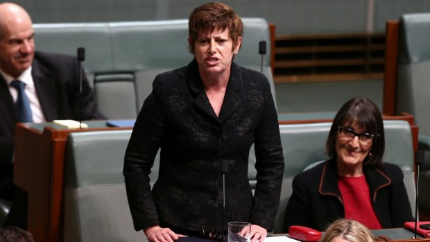 Ms Burke delivers a statement at the end of question time in 2014. 