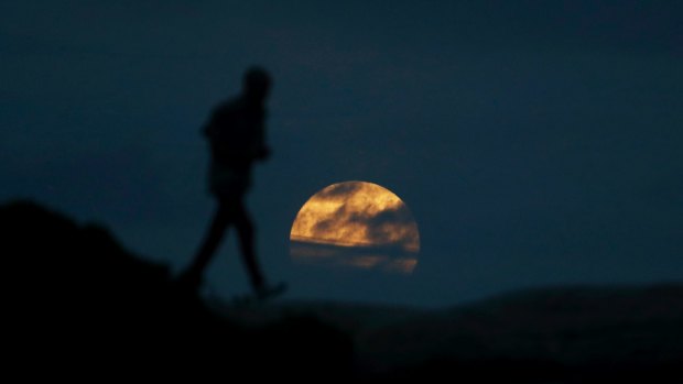 The best view Sydney got: A man walks as the moon rises near Bondi beach before the super blue blood moon full eclipse.