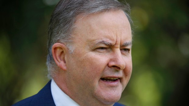 Labor's transport and infrastructure spokesman Anthony Albanese.