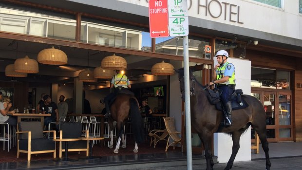 Hard-earned thirst: A police horse walks into a Bondi bar.