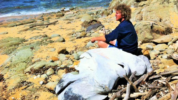 tym tim the yowie man long beach whale bone