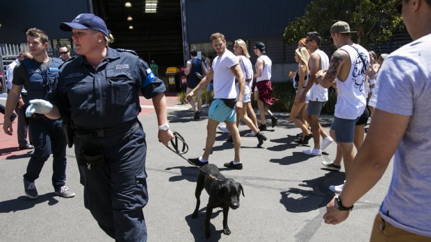A large police and security presence at the Stereosonic Music Festival.