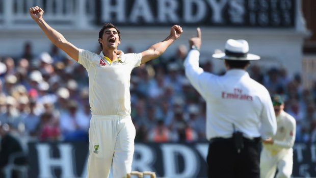 Mitchell Starc celebrates taking the wicket of Alastair Cook.